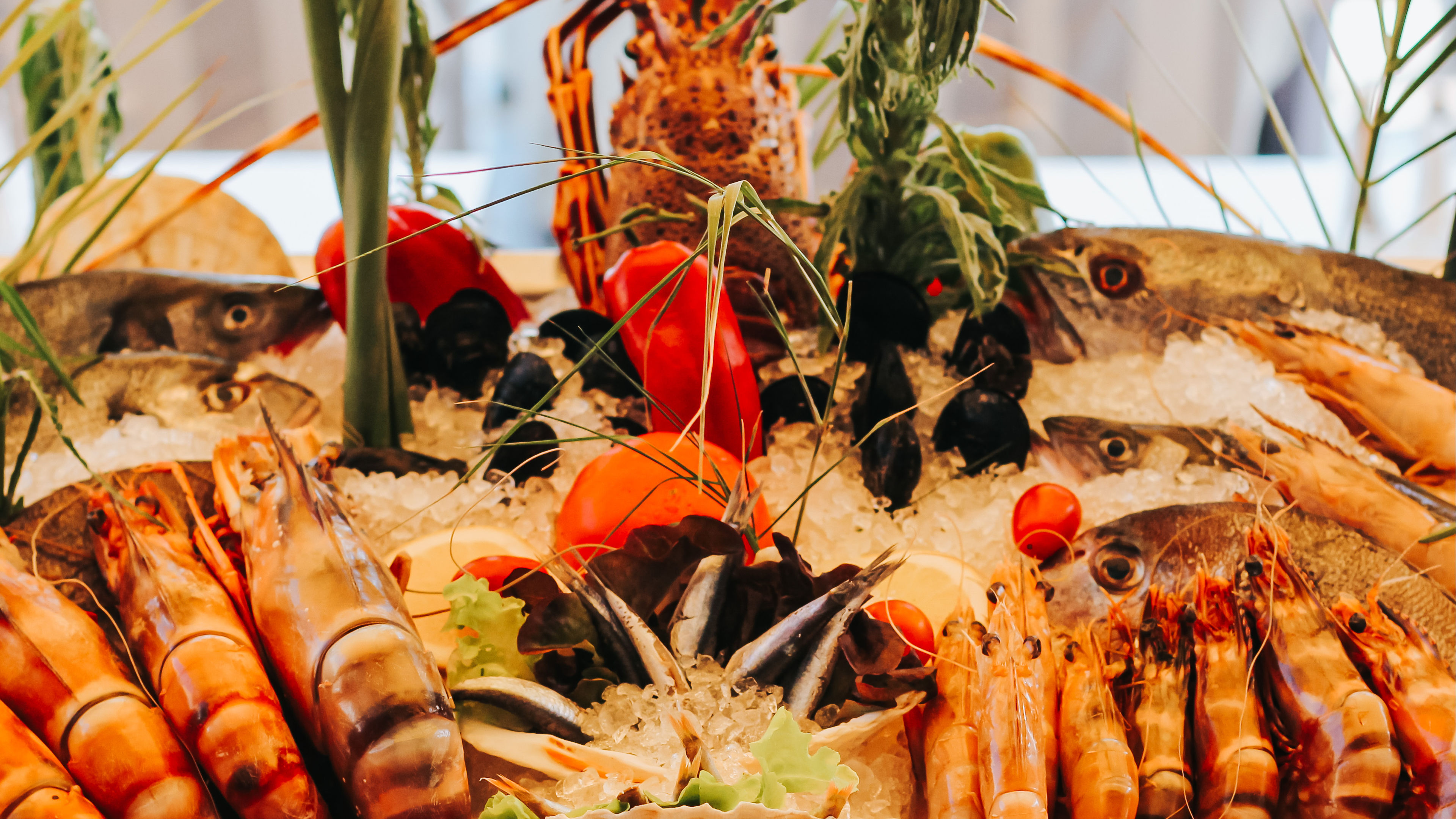 A beautifully arranged seafood display 