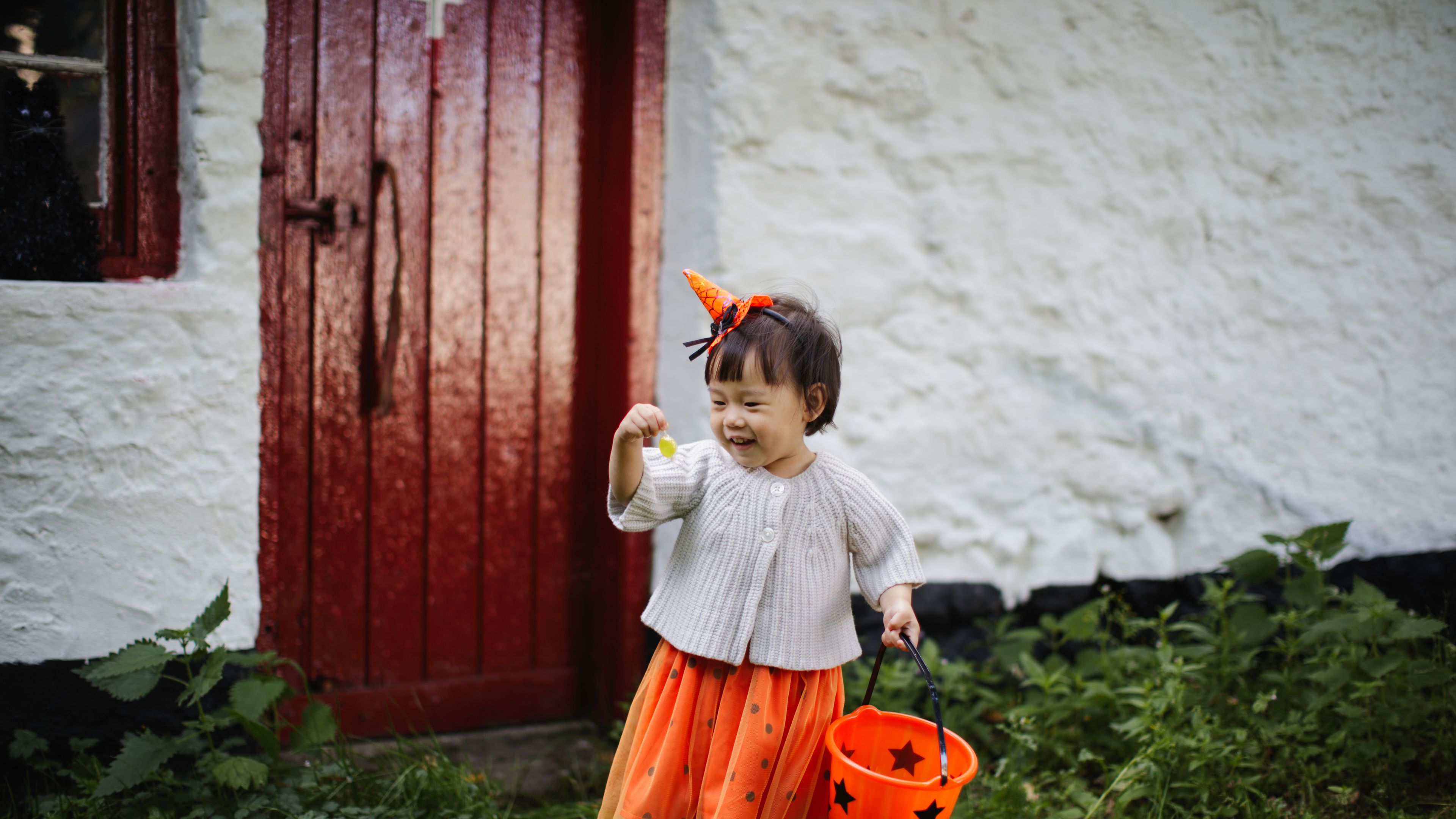 Kid in Halloween dress